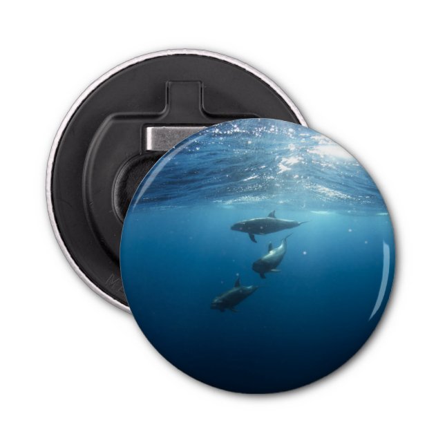 Dolphin Family Underwater Bottle Opener (Front)