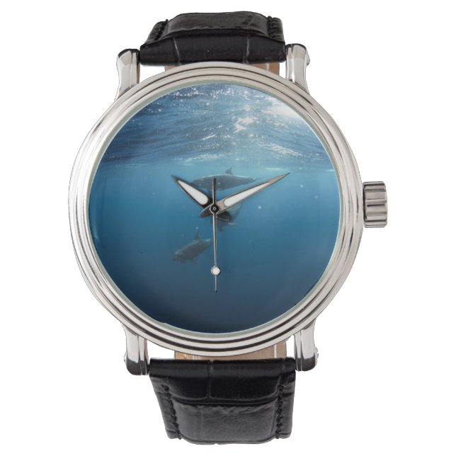 Dolphin Family Underwater Watch (Front)