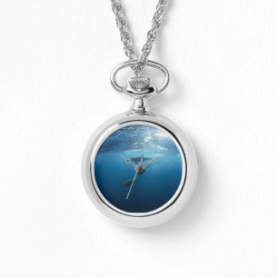 Dolphin Family Watch