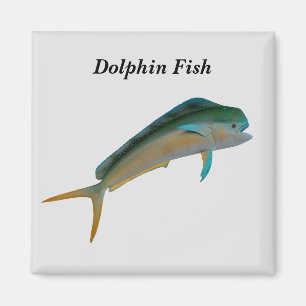 Dolphin fish magnet