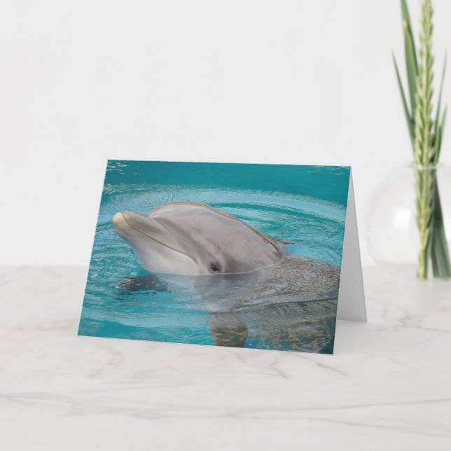 Dolphin Friend Hello Card (Front)