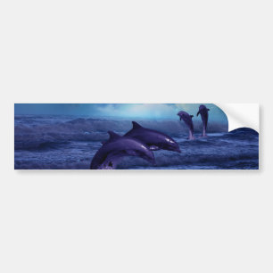 Dolphin fun and play bumper sticker