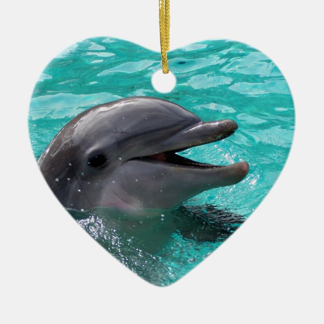 Dolphin head in aquamarine water ceramic ornament (Front)