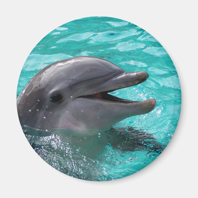Dolphin head in aquamarine water magnet (Front)