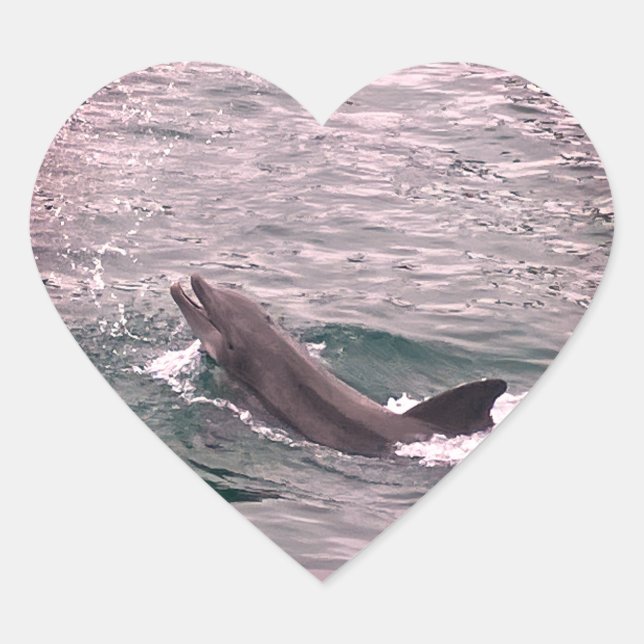 DOLPHIN  HEART STICKER (Front)