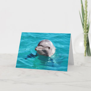 Dolphin in Blue Water Photo Card