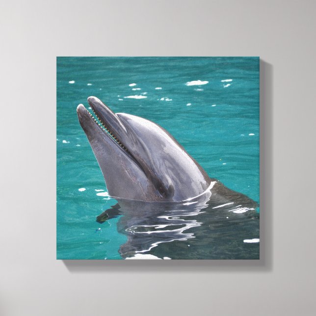 Dolphin In Green Canvas Print (Front)
