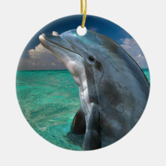 Dolphin in the Bahamas Ceramic Ornament
