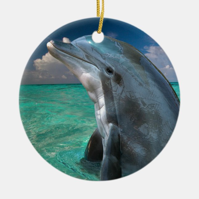 Dolphin in the Bahamas Ceramic Ornament (Front)