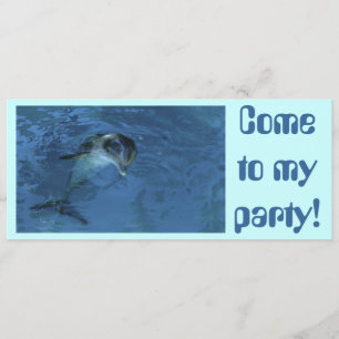 Dolphin Invitation