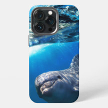 Dolphin 