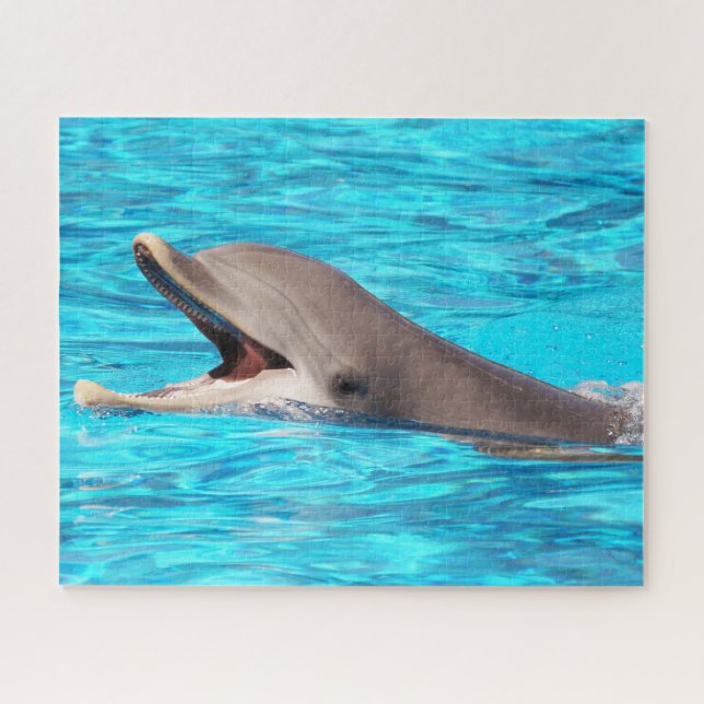 Dolphin Jigsaw Puzzle (Horizontal)