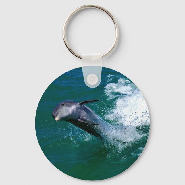 Dolphin jumping and dancing keychain (Front)