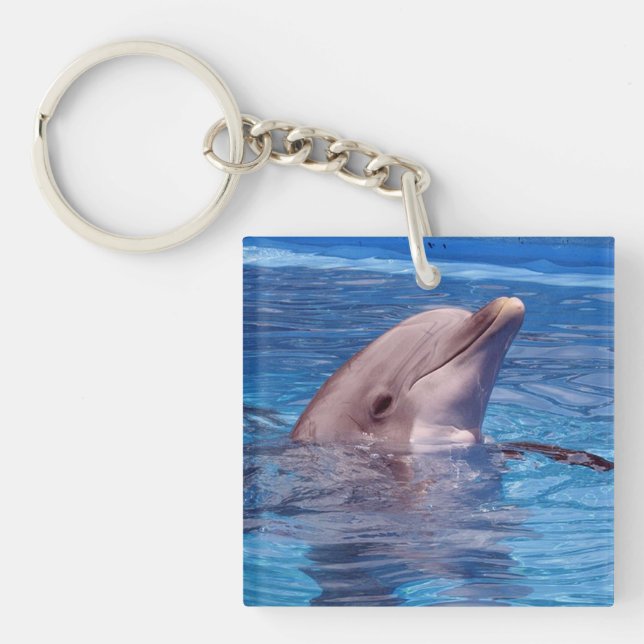 dolphin keychain (Front)