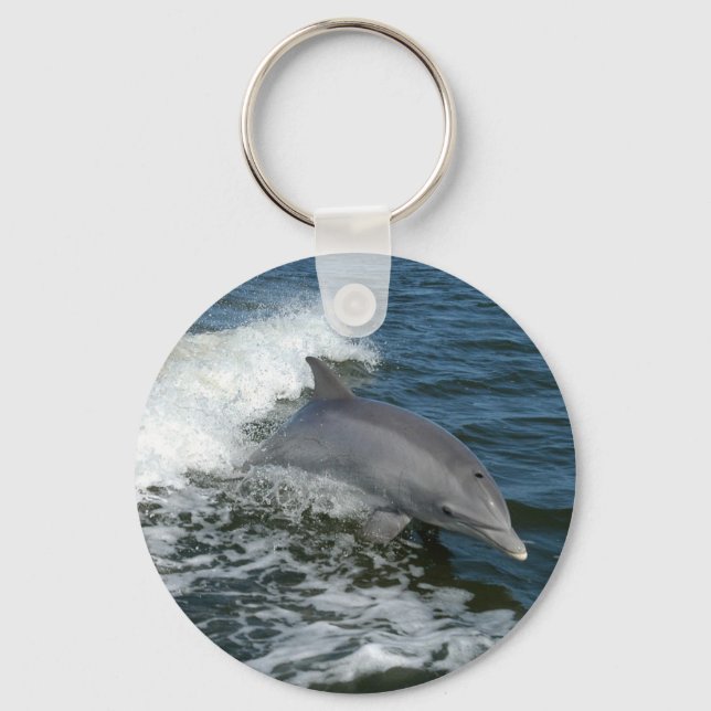 Dolphin Keychain (Front)