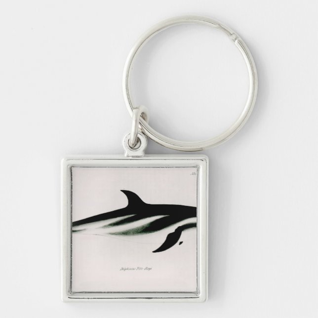 Dolphin Keychain (Front)