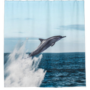 Dolphin leaping out of the ocean