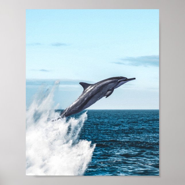 Dolphin leaping out of the ocean poster (Front)