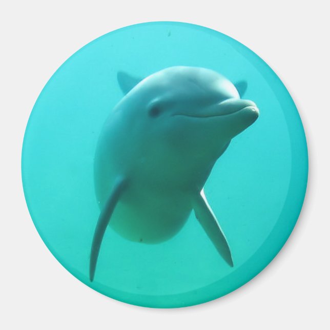 Dolphin Magnet (Front)