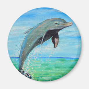 Dolphin Magnet