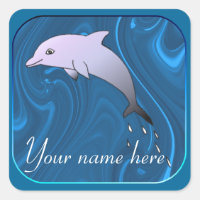 Dolphin Magnet