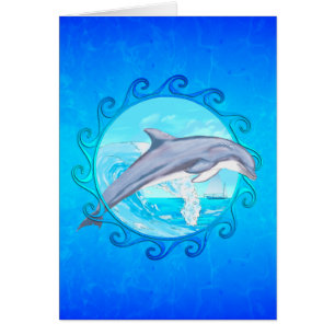 Dolphin Maori Sun