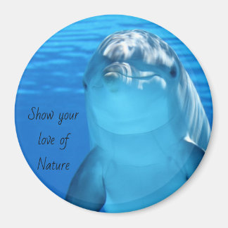 Dolphin Message Magnet