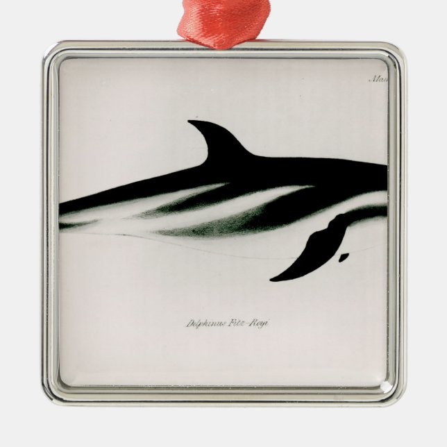 Dolphin Metal Ornament (Front)