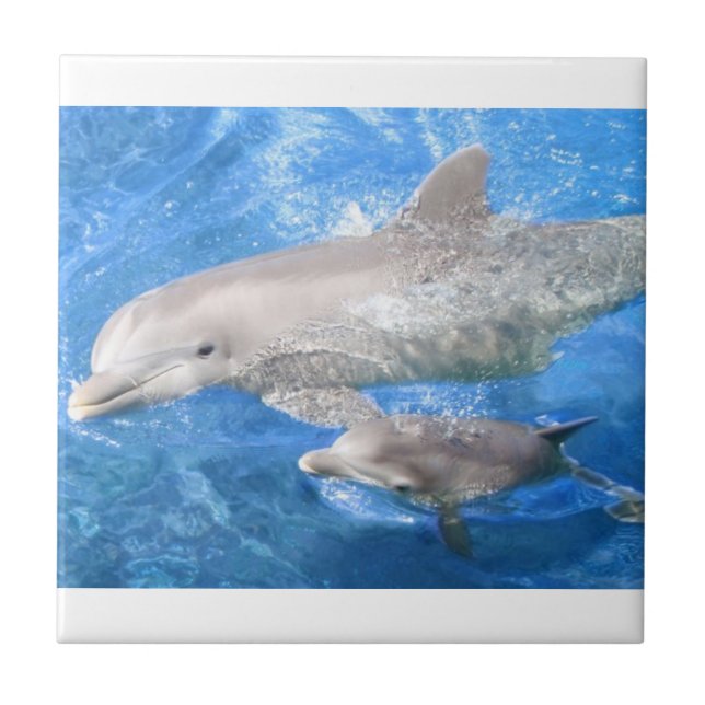 Dolphin Mother and Baby Ceramic Tile (Front)