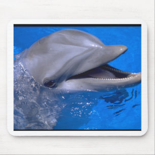 Dolphin Mouse Pad