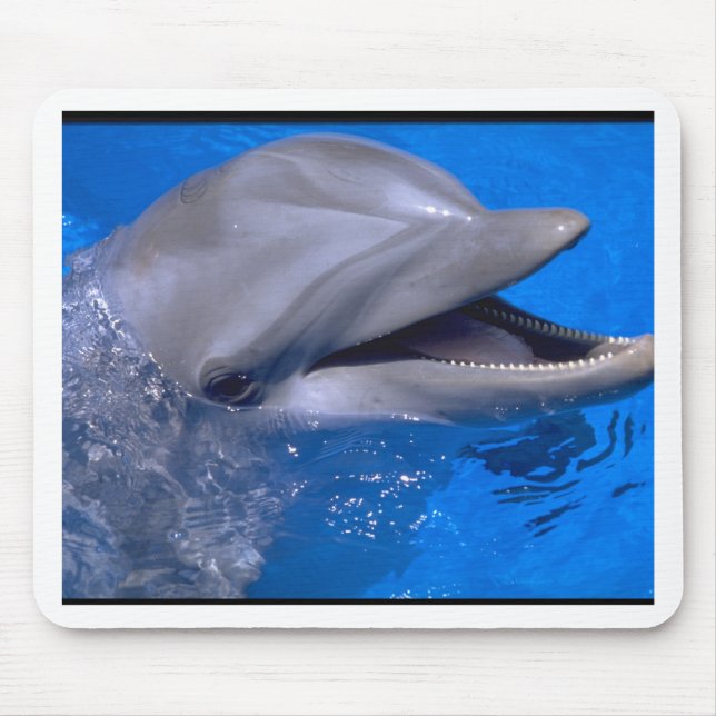 Dolphin Mouse Pad (Front)