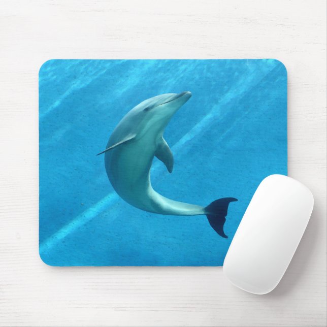 Dolphin Mouse Pad (With Mouse)