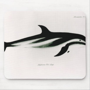 Dolphin Mouse Pad