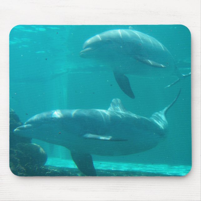 Dolphin Mousepad (Front)