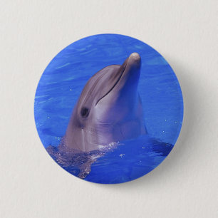 Dolphin Nose 2 Inch Round Button