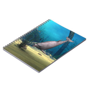 Dolphin Notebook