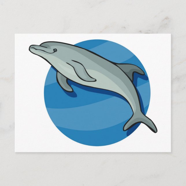 Dolphin on Blue Postcard (Front)