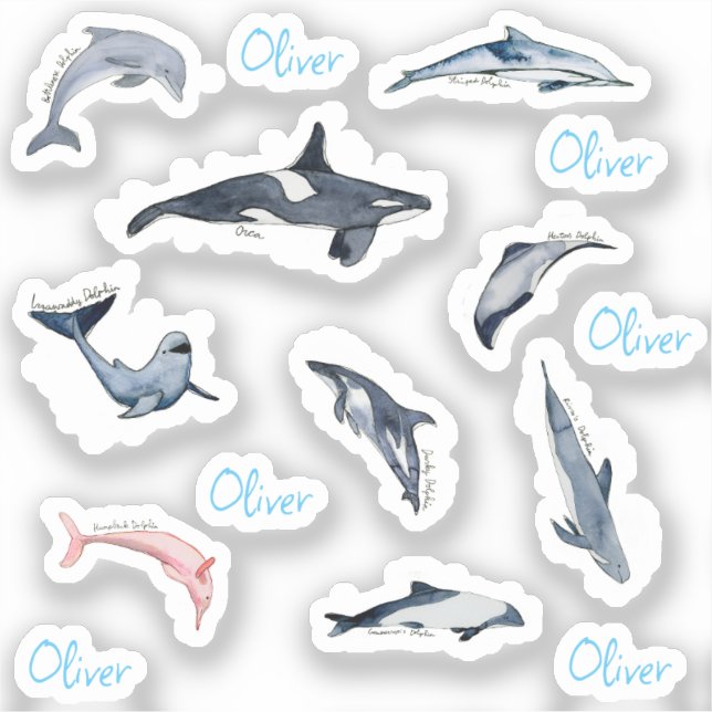Dolphin orca watercolor drawing personalised name (Front)