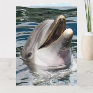 DOLPHIN OVERSIZED BIRTHDAY CARD