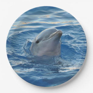 Dolphin Paper Plate