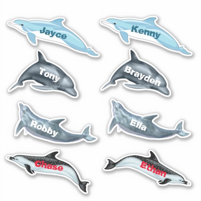 Dolphin Party Stickers With Names (Front)