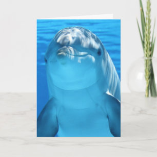 DOLPHIN PHOTOGRAPHY BIRTHDAY CARD
