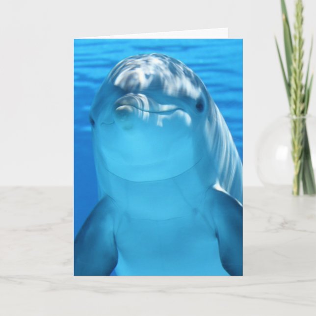 DOLPHIN PHOTOGRAPHY BIRTHDAY CARD (Front)