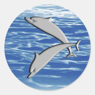 Dolphin Play Classic Round Sticker