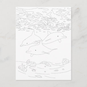 Dolphin Pod Adult Colouring Postcard