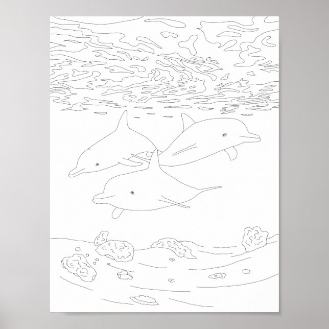 Dolphin Pod Adult Colouring Poster (Front)