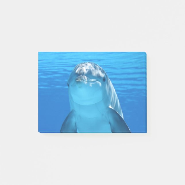 Dolphin Post-it Notes (Front)