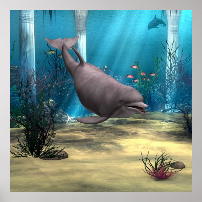 Dolphin Poster (Front)
