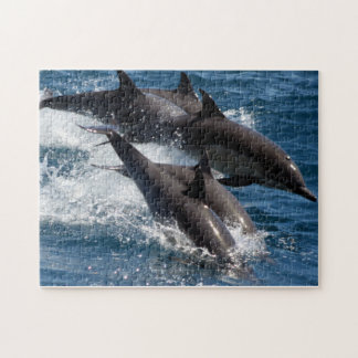 Dolphin Puzzle