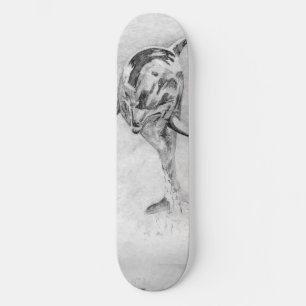 Dolphin Skateboard